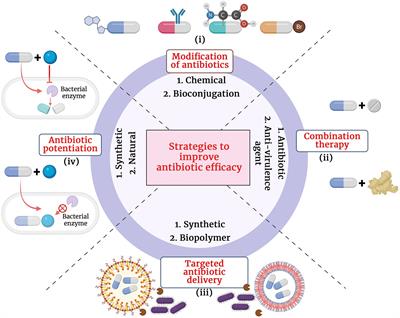 β-Lactam potentiators to re-sensitize resistant pathogens: Discovery, development, clinical use and the way forward
